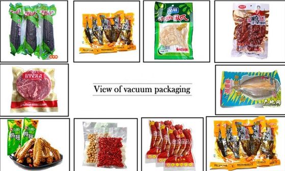 ホーム 電気 掃除 密封機 自動 食品 保存 用 ダブル カメラ 米