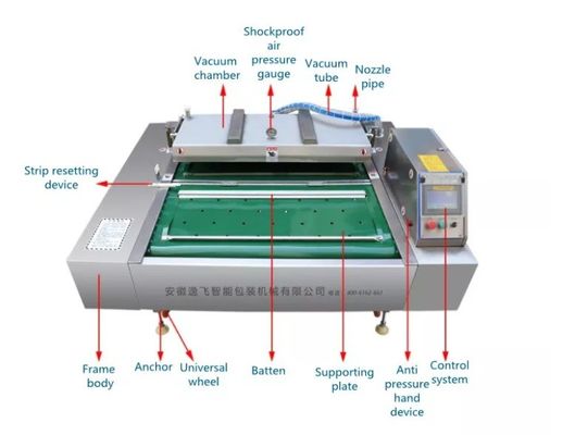 電気駆動 1000 ダブルストライプ オート 豆製品と野生野菜 連続真空包装機