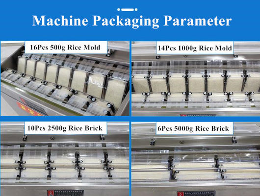 DZ-850 化学粉末包装用の不鋼鋼室真空密封機