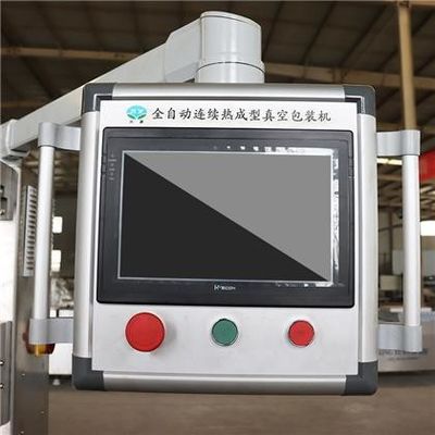 DZR320B ストレッチフィルムパッケージング用の自動式熱形真空包装機